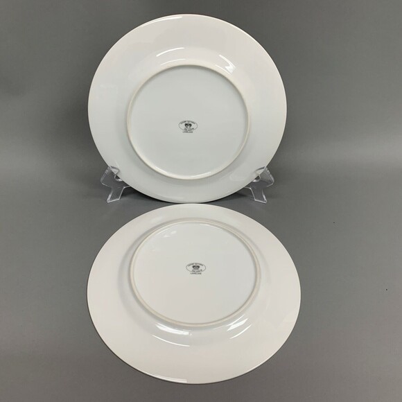 Crown Victoria Fine China Lovelace White Dinner Plates Made in Japan Lot of 2 - Picture 11 of 12